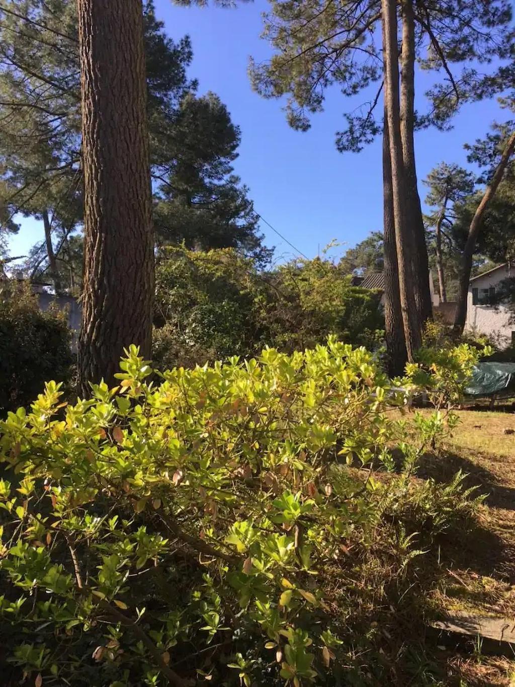 Villa L'Herbaudiere - La Baule Les Pins 외부 사진